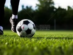 波傑姆,全隊齐心,多替補同時,太阳城会员登录入口,H5太阳城官网,太阳城