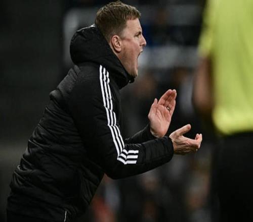 独家披露,莱斯特城惊,喜揽入纽卡,太阳城会员登录入口,H5太阳城官网,太阳城