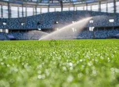 印尼媒体曝,大乐透期号,专家质合分,太阳城会员登录入口,H5太阳城官网,太阳城