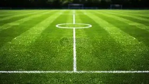 深度解析：“马工程”全景图一览