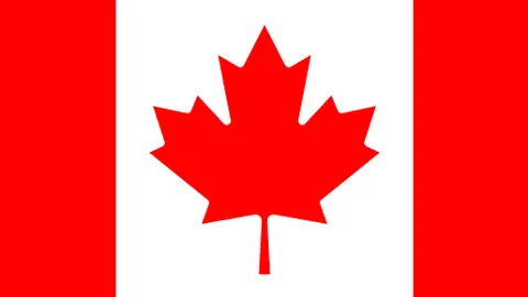 德约百冠梦碎，时光无情人易老