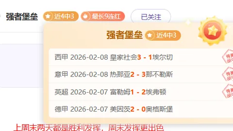 大乐透期号专家质合分析推荐前区十码：里昂VS塞尔塔单选预测